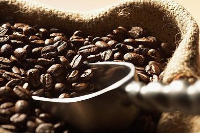 《怪物猎人崛起：曙光》第一弹免费更新8月10日上线